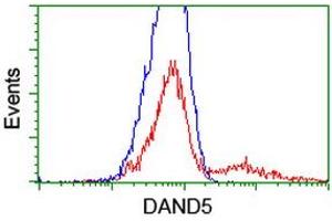 HEK293T cells transfected with either RC221703 overexpress plasmid (Red) or empty vector control plasmid (Blue) were immunostained by anti-DAND5 antibody (ABIN2455031), and then analyzed by flow cytometry. (DAND5 antibody  (AA 23-189))