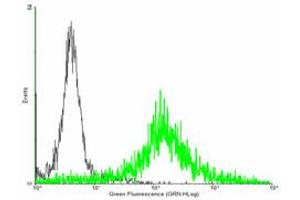 FACS analysis of negative control 293 cells (Black) and EVI2A expressing 293 cells (Green) using EVI2A purified MaxPab mouse polyclonal antibody. (EVI2A antibody  (AA 25-236))