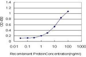 Detection limit for recombinant GST tagged RNF122 is approximately 1ng/ml as a capture antibody. (RNF122 antibody  (AA 61-155))