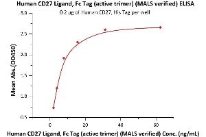 ELISA image for CD70 Molecule (CD70) (AA 52-193) (Active) protein (Fc Tag) (ABIN6952263)
