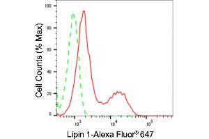 Flow cytometric analysis of Lipin 1 expression in HepG2 cells using Lipin 1 antibody (ABIN7799276), 1:2,000).