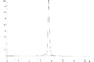 The purity of Cynomolgus GARP&Latent TGF beta Complex is greater than 95 % as determined by SEC-HPLC.