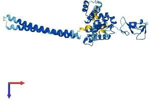 Required For Meiotic Nuclear Division 5 Homolog B (RMND5B) (AA 1-393) protein (His tag)