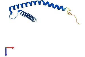 Protein Structure (PS) image for Fracture Callus 1 Homolog (FXC1) (AA 1-103) protein (His tag) (ABIN7544075)