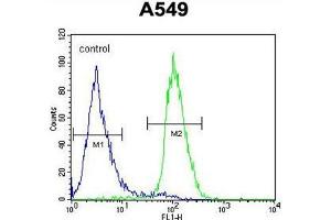 C1orf51 Antibody (N-term) flow cytometric analysis of A549 cells (right histogram) compared to a negative control cell (left histogram). (C1orf51 antibody  (N-Term))