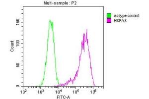 Overlay histogram showing MCF-7 cells stained with ABIN7154883 (red line). (Hsc70 antibody  (AA 2-646))
