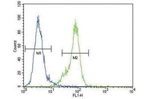Dnmt1 antibody flow cytometric analysis of MDA-MB435 cells (right histogram) compared to a negative control (left histogram). (DNMT1 antibody  (AA 1588-1616))