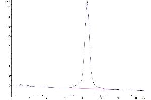 The purity of Mouse CSPG5 is greater than 95 % as determined by SEC-HPLC. (CSPG5 Protein (AA 31-423) (His tag))