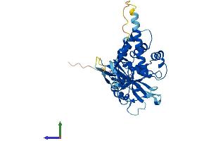 Protein Structure (PS) image for Ubiquitin Specific Peptidase 46 (USP46) (AA 1-366) protein (His tag) (ABIN7545002)