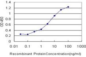 Detection limit for recombinant GST tagged SLC15A1 is approximately 0. (SLC15A1 antibody  (AA 473-572))