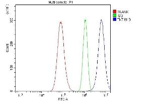 Flow Cytometry analysis of A549 cells using anti-Transketolase/TKT antibody (ABIN7598957). (TKT antibody  (AA 1-116))