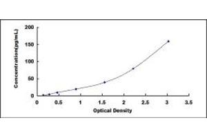 Typical standard curve (ITLN1/Omentin ELISA Kit)