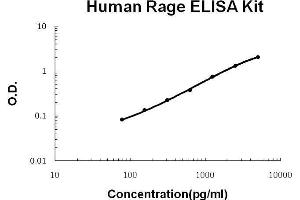 Human Rage PicoKine ELISA Kit standard curve