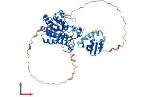 AlphaFold protein structure predicition of Mouse Recombinant Hsdl2 Protein, UniprotID Q2TPA8