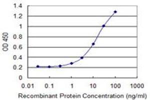 Detection limit for recombinant GST tagged RDH12 is 0. (RDH12 antibody  (AA 217-316))