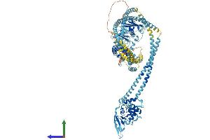 AlphaFold protein structure predicition of Mouse Recombinant Smc5 Protein, UniprotID Q8CG46 (SMC5 Protein (AA 1-1101) (His tag))