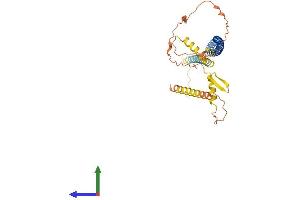 AlphaFold protein structure predicition of Human Recombinant CCDC54 Protein, UniprotID Q8NEL0