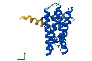 AlphaFold protein structure predicition of Human Recombinant PDCD10 Protein, UniprotID Q9BUL8 (PDCD10 Protein (AA 1-212) (His tag))