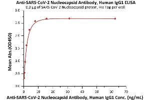 Immobilized SARS-CoV-2 Nucleocapsid protein, His Tag (Cat. (SARS-CoV-2 Nucleocapsid antibody)