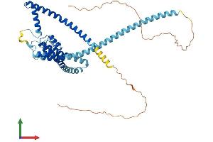 AlphaFold protein structure predicition of Mouse Recombinant Kcnk2 Protein, UniprotID P97438