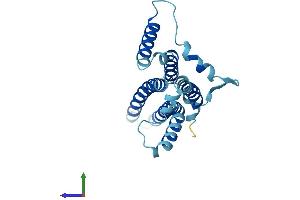 Protein Structure (PS) image for Mitochondrially Encoded ATP Synthase 6 (MT-ATP6) (AA 1-226) protein (His tag) (ABIN7552540)