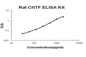 Rat CNTF Accusignal ELISA Kit Rat CNTF AccuSignal Elisa Kit standard curve. (CNTF ELISA Kit)