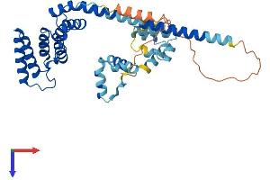 HSC70 Interacting Protein HIP Protein (AA 1-371) (His tag)
