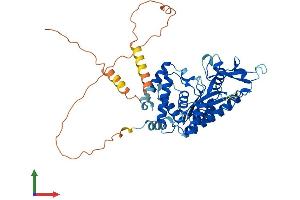 Protein Structure (PS) image for Smith-Magenis Syndrome Chromosome Region, Candidate 7 (SMCR7) (AA 1-454) protein (His tag) (ABIN7549435)