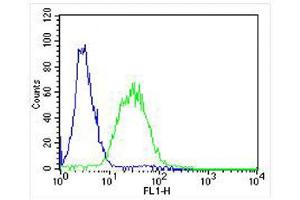 Overlay histogram showing ZF4 cells stained with (ABIN6242156 and ABIN6578282) (green line). (Adenylate Kinase 2 antibody  (AA 147-183))