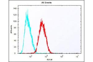 Overlay histogram showing HepG2 cells stained with (ABIN6242230 and ABIN6577881) (red line). (EpCAM antibody  (C-Term))