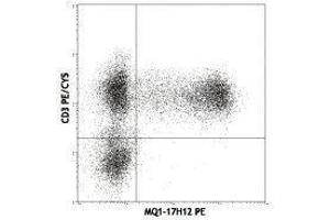 Flow Cytometry (FACS) image for anti-Interleukin 2 (IL2) antibody (PE) (ABIN2663774) (IL-2 antibody  (PE))
