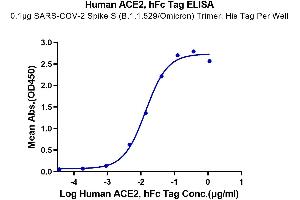 Immobilized SARS-COV-2 Spike S (B. (ACE2 Protein (AA 18-740) (Fc Tag))