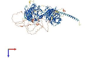 AlphaFold protein structure predicition of Human Recombinant STXBP5L Protein, UniprotID Q9Y2K9 (STXBP5L Protein (AA 1-1186) (His tag))