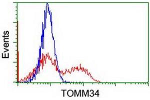 HEK293T cells transfected with either RC201083 overexpress plasmid (Red) or empty vector control plasmid (Blue) were immunostained by anti-TOMM34 antibody (ABIN2454814), and then analyzed by flow cytometry. (TOMM34 antibody)