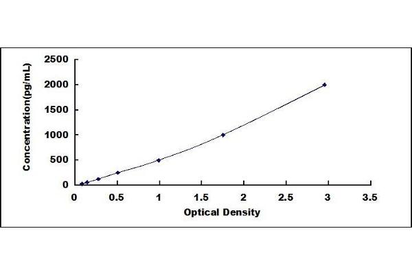 Integrin beta 3 ELISA Kit