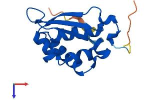 KH Homology Domain Containing 1-Like (KHDC1L) (AA 1-128) protein (His tag)