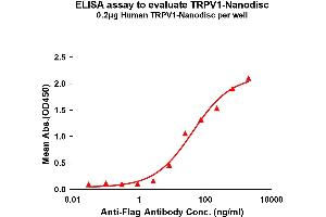 TRPV1 Protein