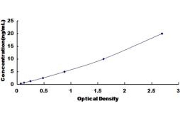 EMP3 ELISA Kit