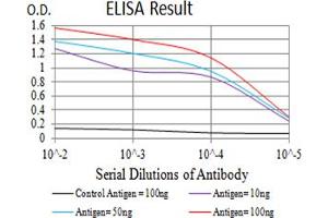 Black line: Control Antigen (100 ng),Purple line: Antigen (10 ng), Blue line: Antigen (50 ng), Red line:Antigen (100 ng) (CHRNA10 antibody  (AA 25-237))