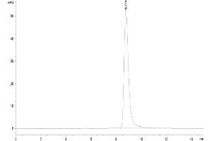 The purity of Cynomolgus TSLPR is greater than 95 % as determined by SEC-HPLC. (CRLF2 Protein (AA 23-231) (His tag))