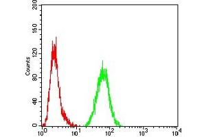 Flow cytometric analysis of Hela cells using S100B mouse mAb (green) and negative control (red). (S100B antibody  (AA 1-92))