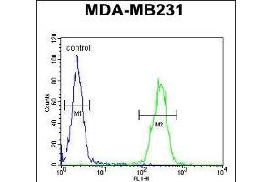 IL1F6 Antibody (Center) (ABIN651427 and ABIN2840233) flow cytometric analysis of MDA-M cells (right histogram) compared to a negative control cell (left histogram). (IL36A/IL1F6 antibody  (AA 35-61))