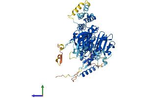 AlphaFold protein structure predicition of Human Recombinant KBTBD2 Protein, UniprotID Q8IY47 (KBTBD2 Protein (AA 1-623) (His tag))