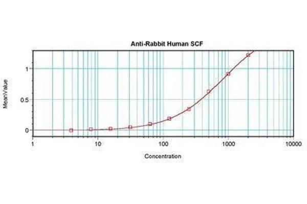 KIT Ligand antibody