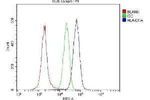 7. (HLA-DRA antibody  (AA 26-254))