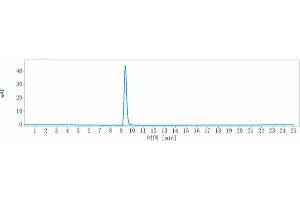 The purity of Anti-RGMA Reference Antibody (elezanumab) is 100 % , determined by SEC-HPLC. (Recombinant RGMA (Elezanumab Biosimilar) antibody)