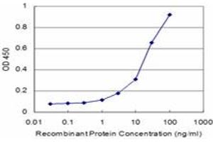 Detection limit for recombinant GST tagged CSF1 is approximately 3ng/ml as a capture antibody. (M-CSF/CSF1 antibody  (AA 33-132))