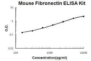 Mouse Fibronectin PicoKine ELISA Kit standard curve