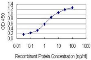Detection limit for recombinant GST tagged RIC8A is 0. (RIC8A antibody  (AA 462-534))