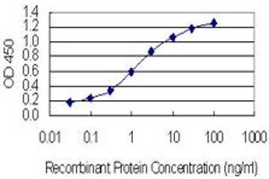 ELISA image for anti-Resistance To Inhibitors of Cholinesterase 8 Homolog A (C. Elegans) (RIC8A) (AA 462-534) antibody (ABIN1327181)